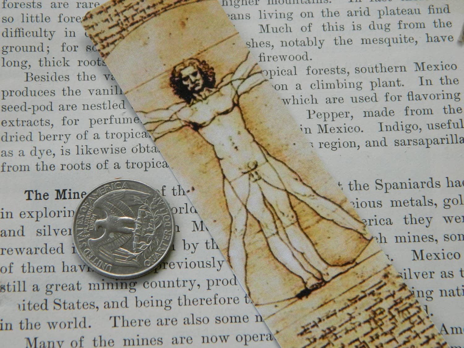 Sarah Wood Studio - Wholesale Bookmark - Bookmark da Vinci Vitruvian Man1