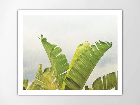 The National Anthem - Wholesale Art Print - 8” x 10” Tropical Leaves Art Print1