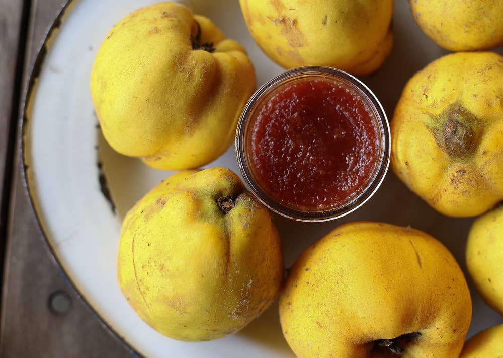 Girl Meets Dirt - Wholesale Preserves - Quince Cutting Preserves 4.5oz2