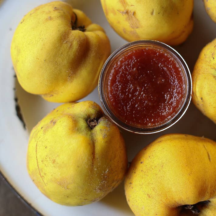 Girl Meets Dirt - Wholesale Preserves - Quince Cutting Preserves 4.5oz2