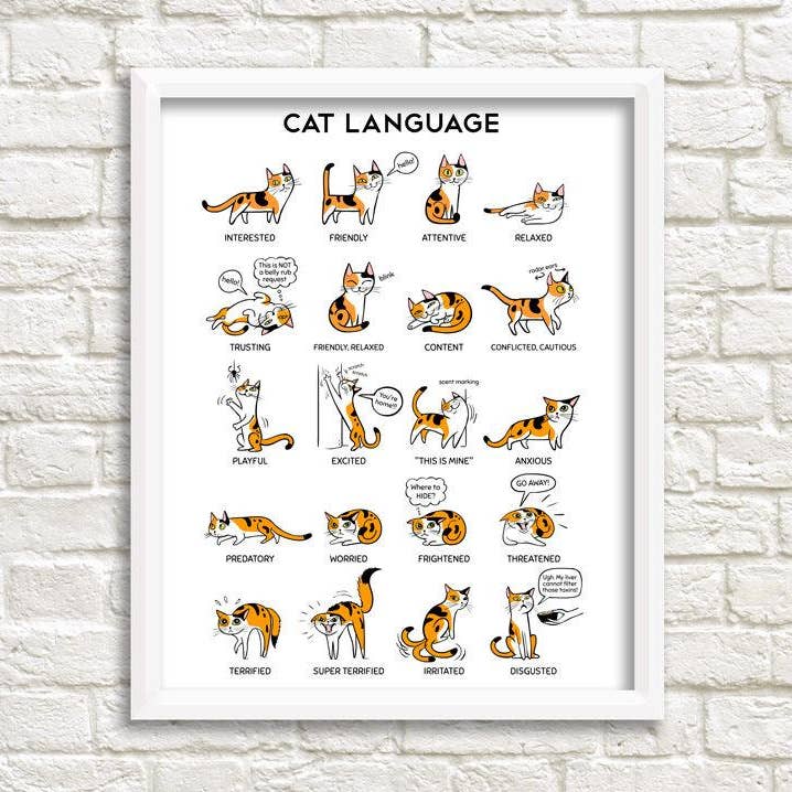 8'' x 10'' Cat Language Art Print for wholesale by Lili Chin Art