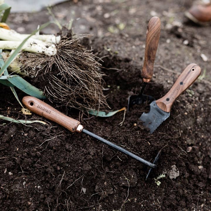 Barebones - Wholesale Garden Tool - Walnut Square Hoe