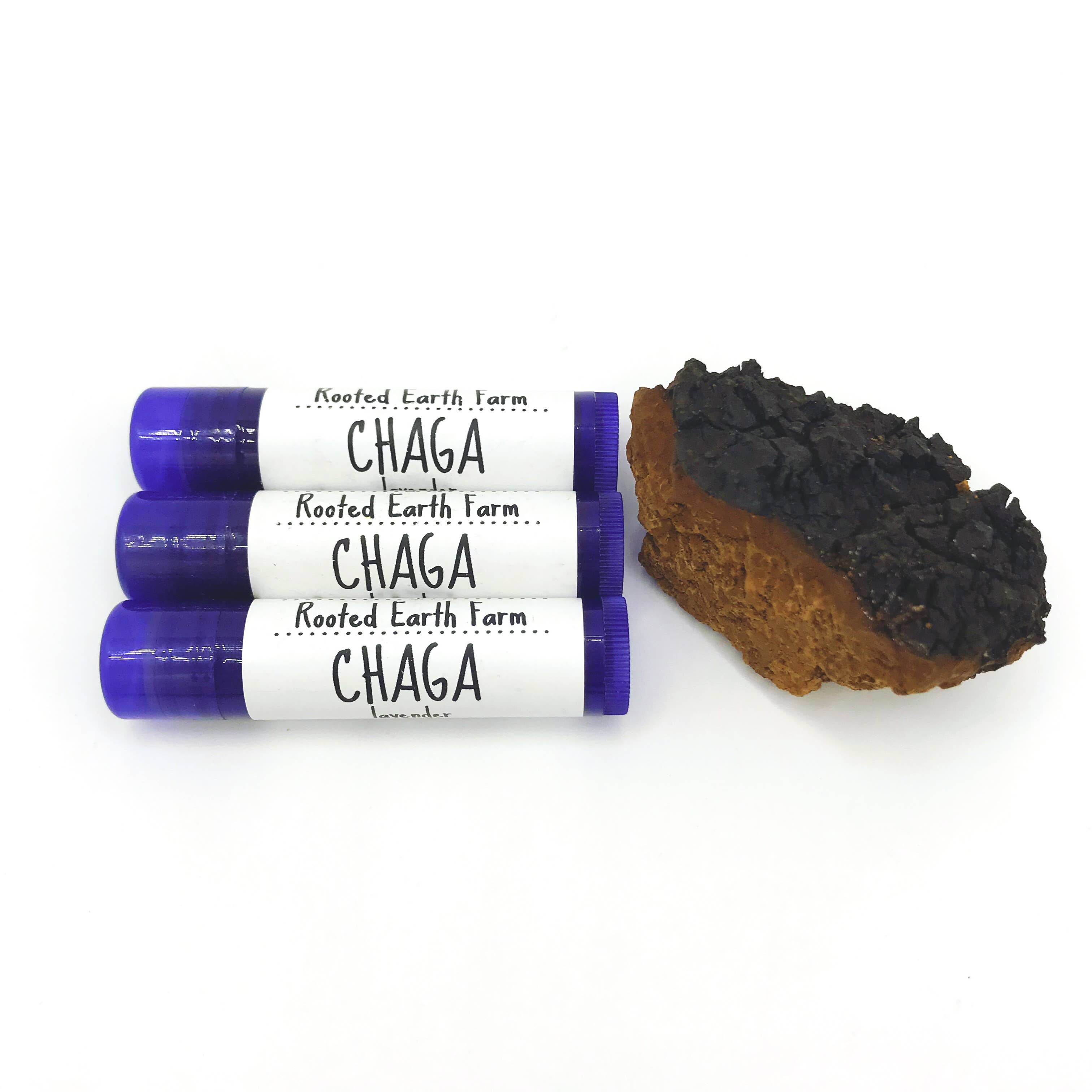 Rooted Earth Farm + Apothecary - Wholesale Lip Balm - Chaga Lip Balm - 3 Scent Options1