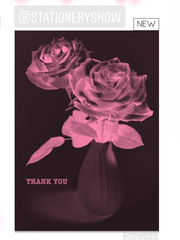 Tak skal du have! - PINK 14 NYT for engroshandel hos Talfoto Studio