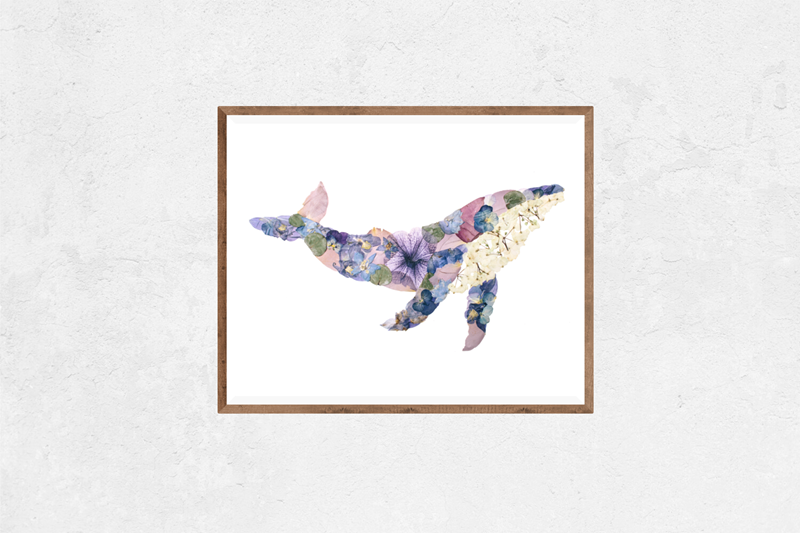 Oxeye Floral Co. - Wholesale Art Print - Humpback Whale Print | Pressed Flower Art2