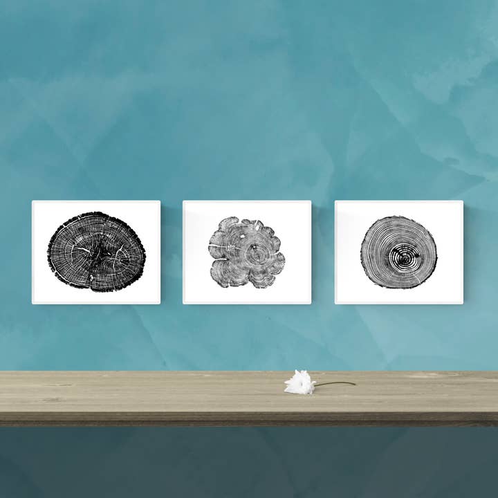 8"x10" Variety, total of 9 prints, unframed for wholesale by Timber Wood Prints