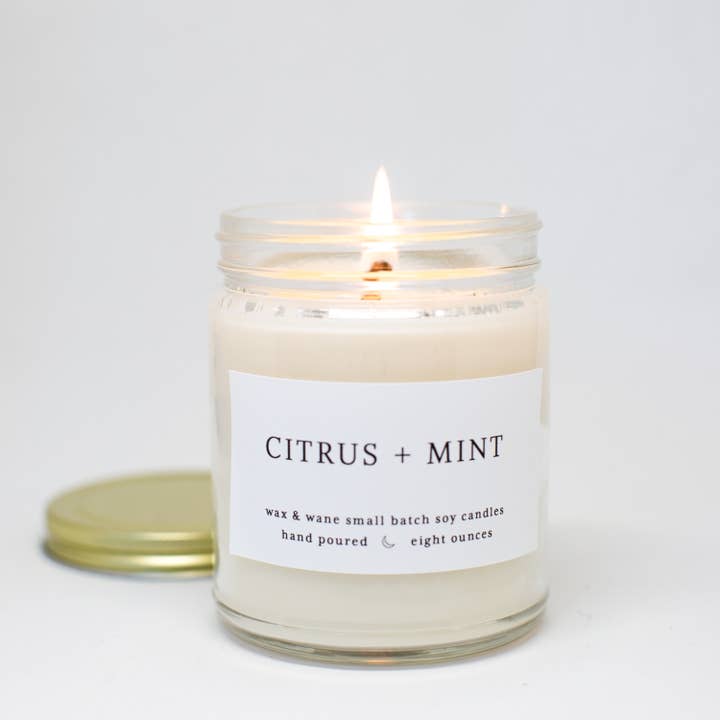 Vela de soja moderna Citrus + Mint por atacado de Wax and Wane Candles