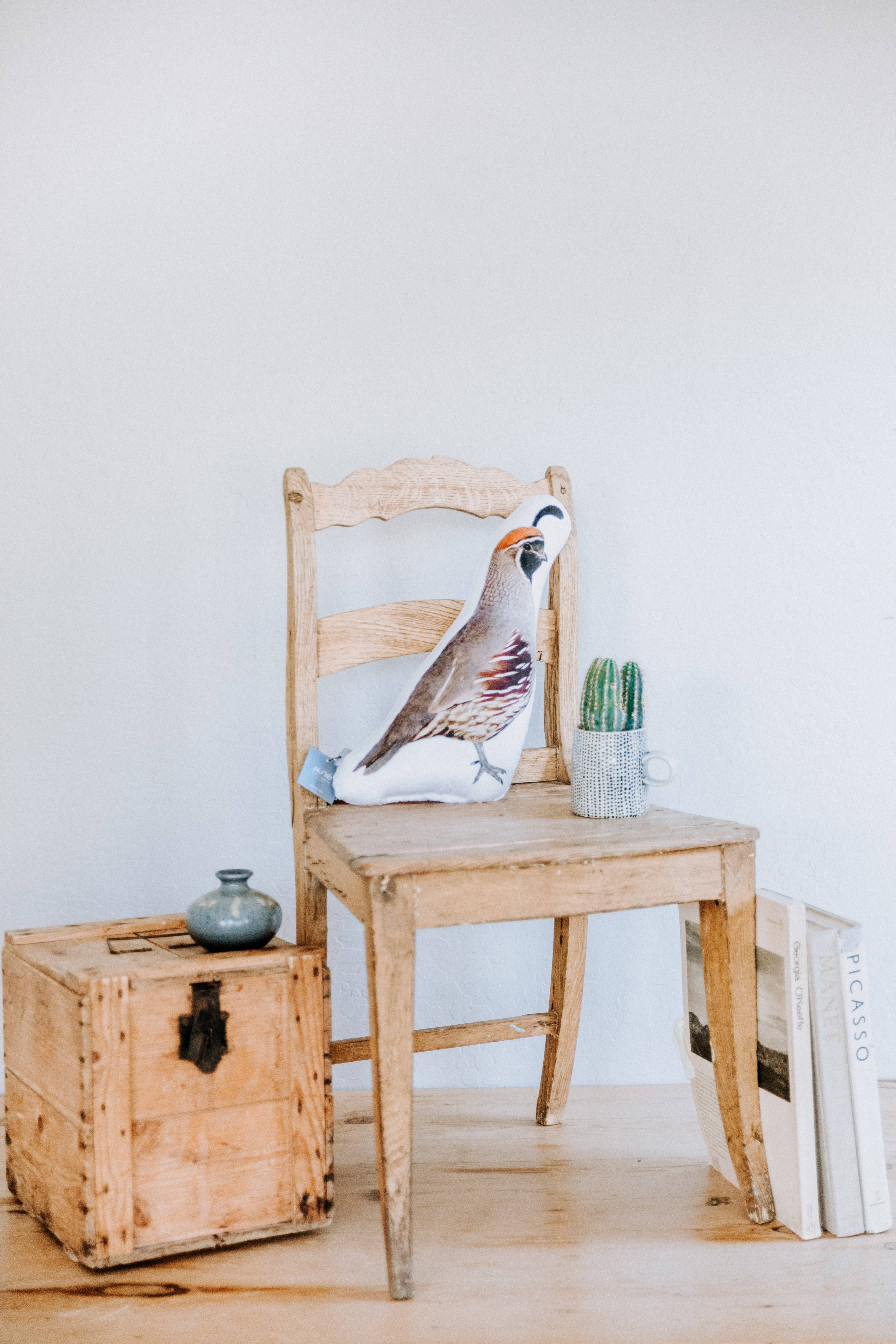 AURE - Wholesale Throw/Decorative Pillow - AZ Quail, Christmas Gift1