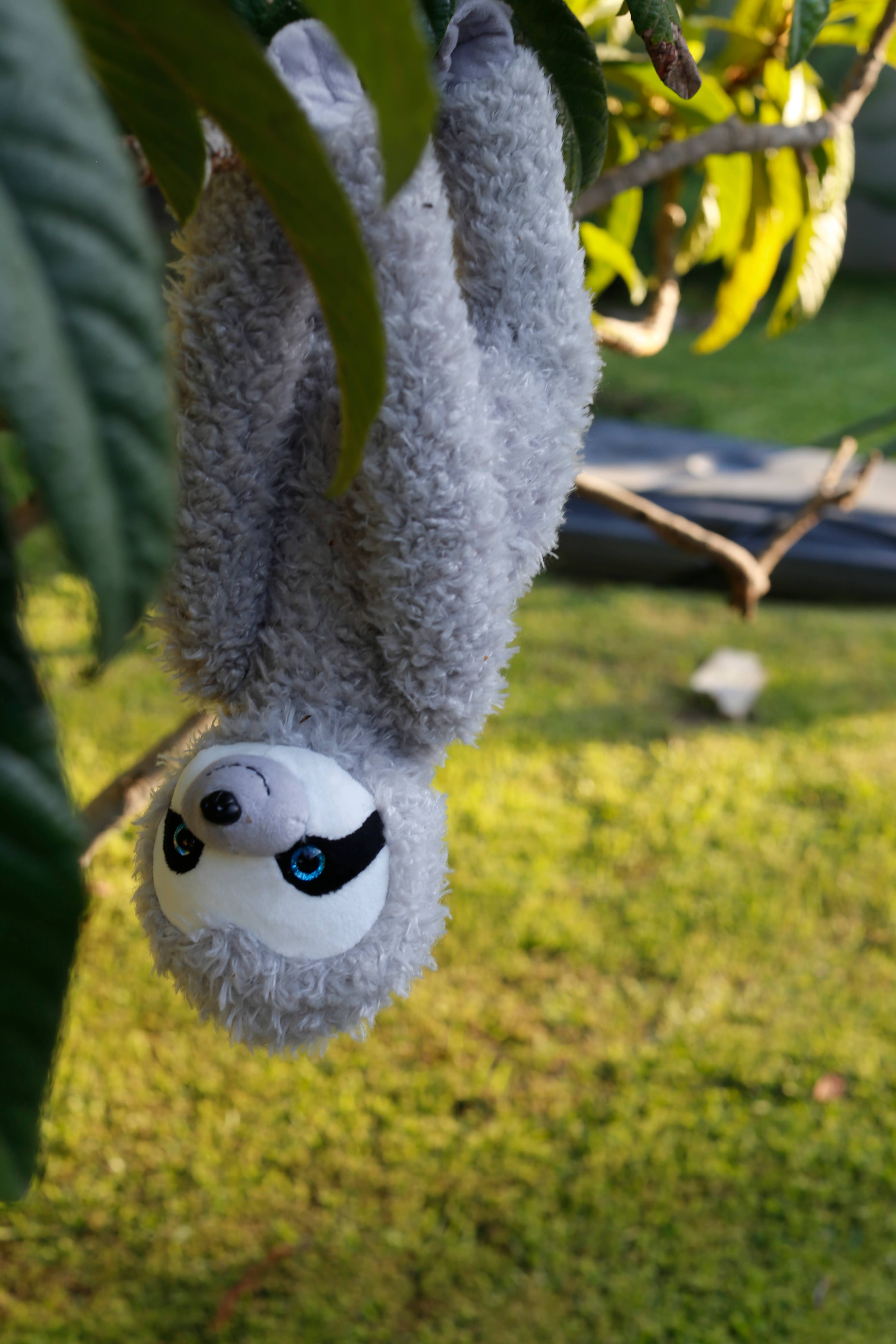 Plushland - Vendita all'ingrosso Peluche - Bambini e neonati - Slowla il bradipo degli alberi6