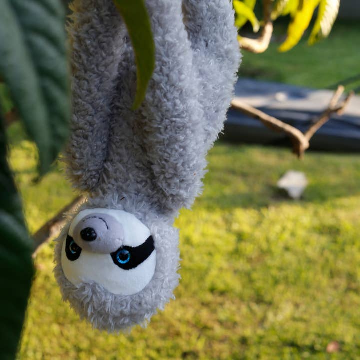 Plushland - Wholesale Stuffed/Plush Toy - Kids & Baby - Slowla the Tree Sloth6