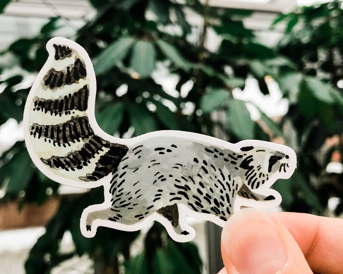 Wildship Studio - Vente Autocollant - Autocollant en vinyle Motif raton laveur animal3