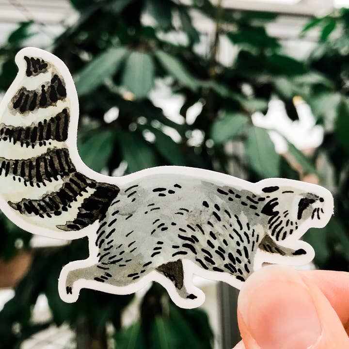 Wildship Studio - Vente Autocollant - Autocollant en vinyle Motif raton laveur animal3