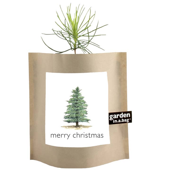 Potting Shed Creations, Ltd. - Wholesale Plant Seeds - Garden in a Bag | Christmas Tree | Best Seller