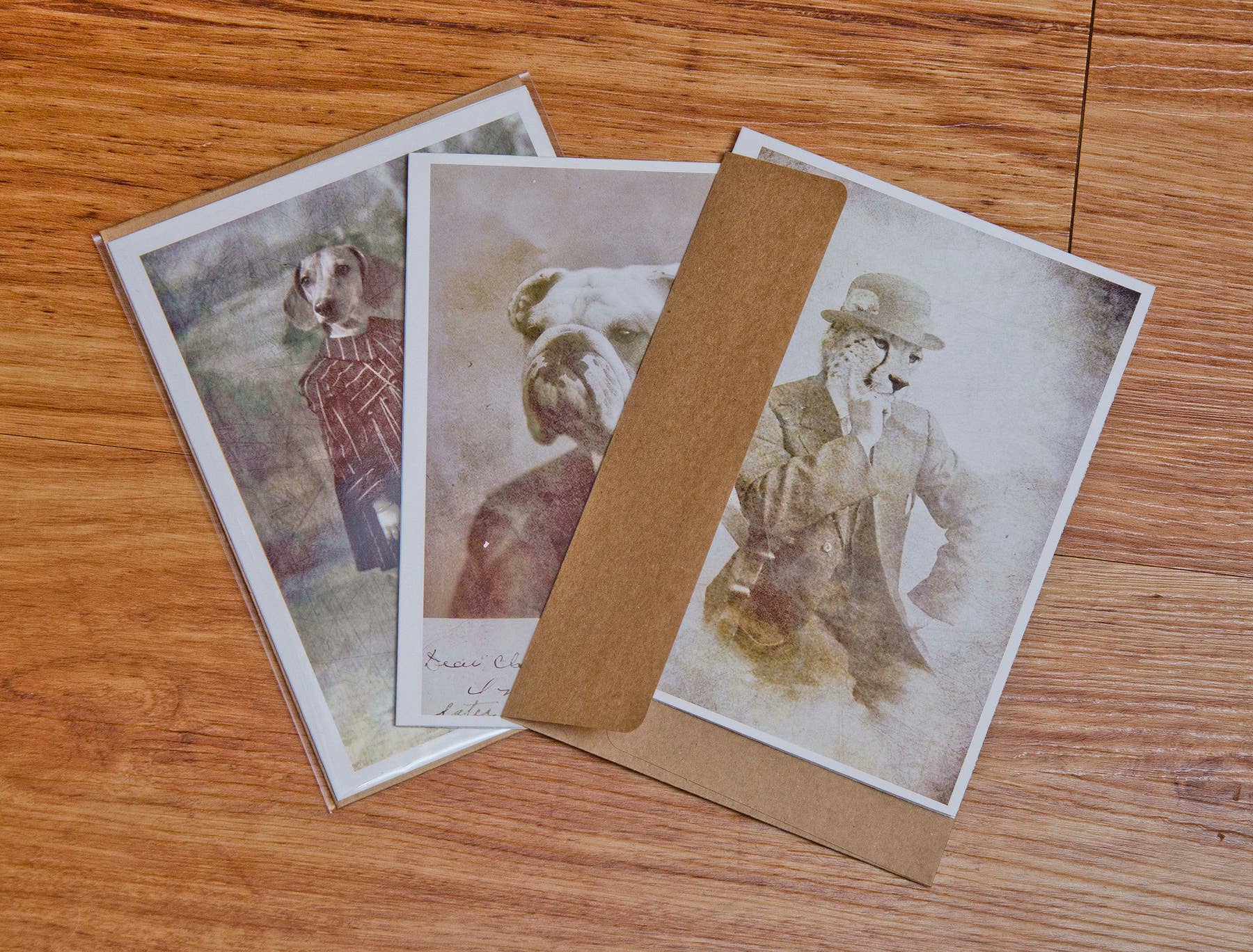 The Wild Oddisorium - Wholesale Baby Card - Baby Kitten Note Card Baby Shower New Pet Kitty Cat3