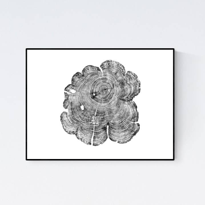 Eastern Red Cedar, 18 „x24" unframed for engroshandel hos Timber Wood Prints