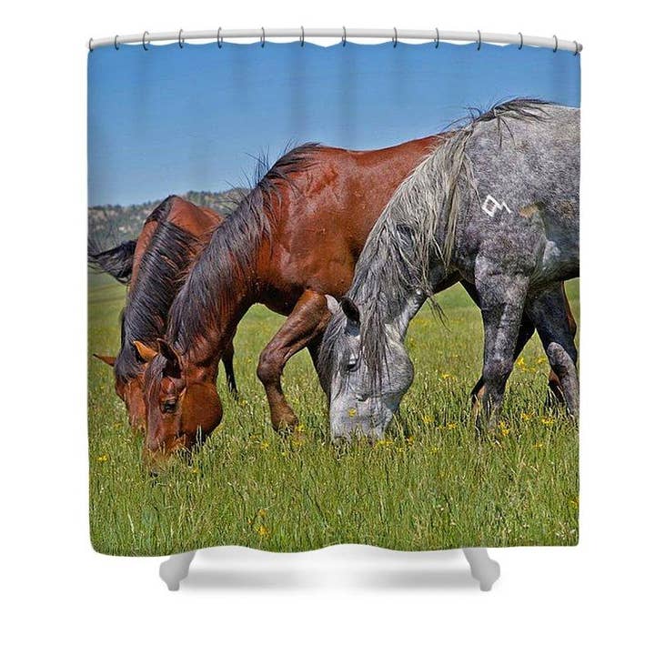 Grass Grazing Time Shower Curtain for wholesale by Amanda Smith Western Art, LLC