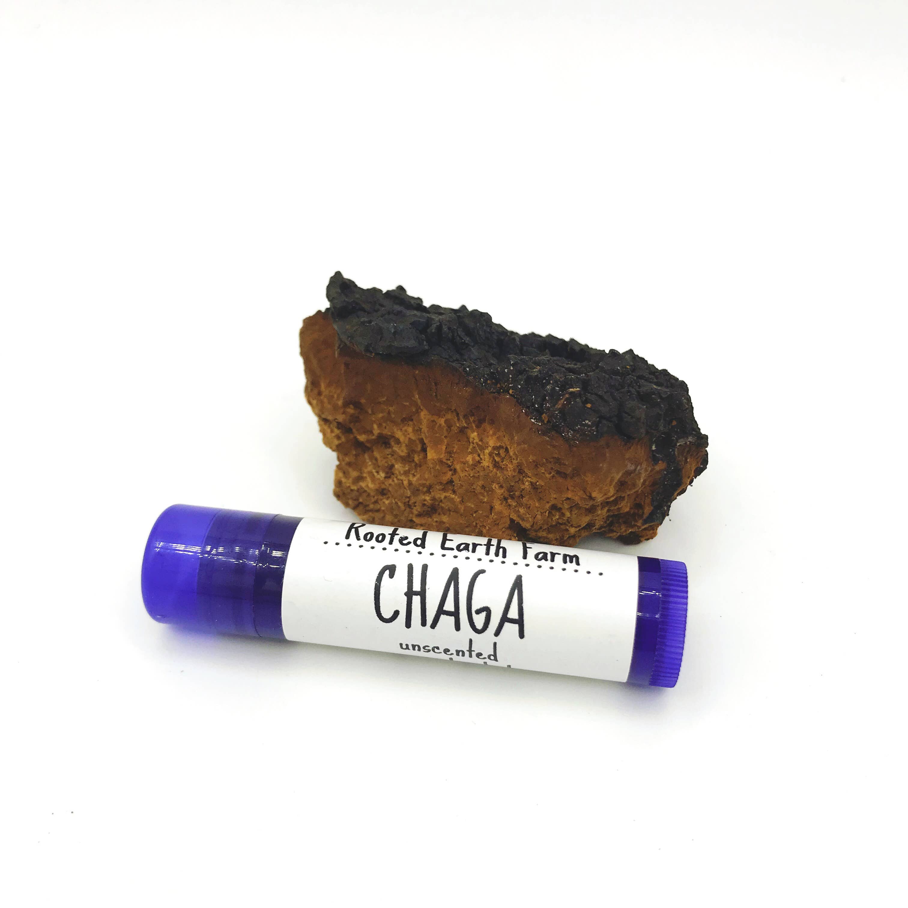 Rooted Earth Farm + Apothecary - Wholesale Lip Balm - Chaga Lip Balm - 3 Scent Options5