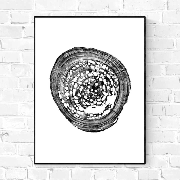 Pecky Sinker Cypress, 18"x24" sem moldura por atacado de Timber Wood Prints