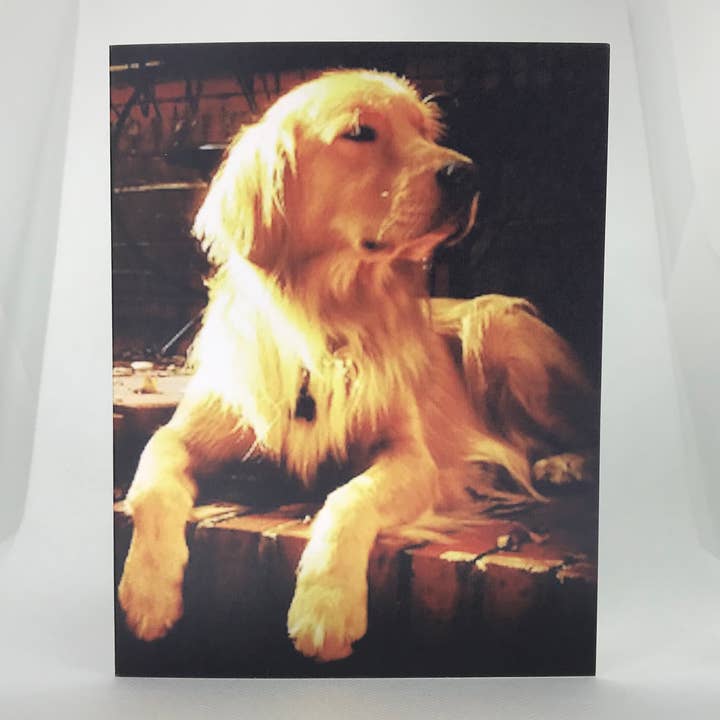'Zen Dog' : Note Card for wholesale by Sean Holloran Art