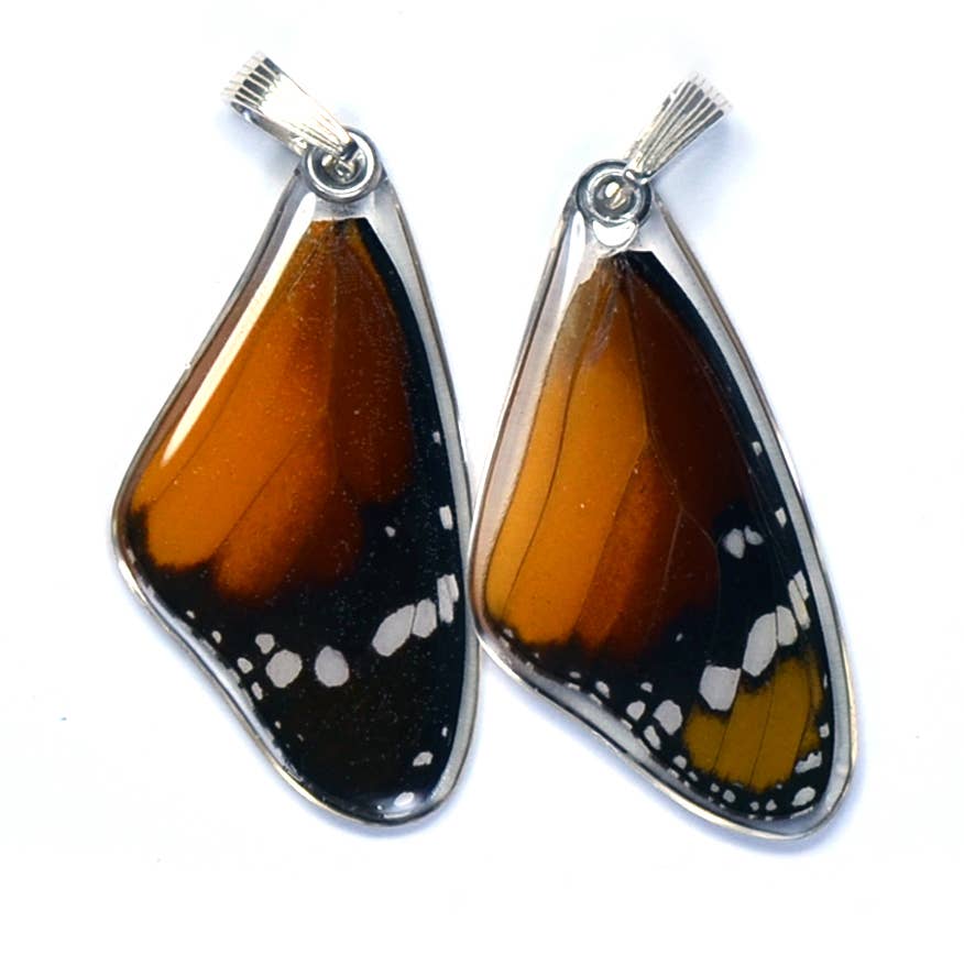Wingstitution - Wholesale Individual Charm/Pendant - 0240 Butterfly Wing Pendant ONLY, African Monarch, top0
