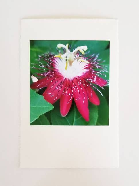 Red Passion Burst Photo Card & Kraft Envelope for wholesale by Kellie Lynne Designs