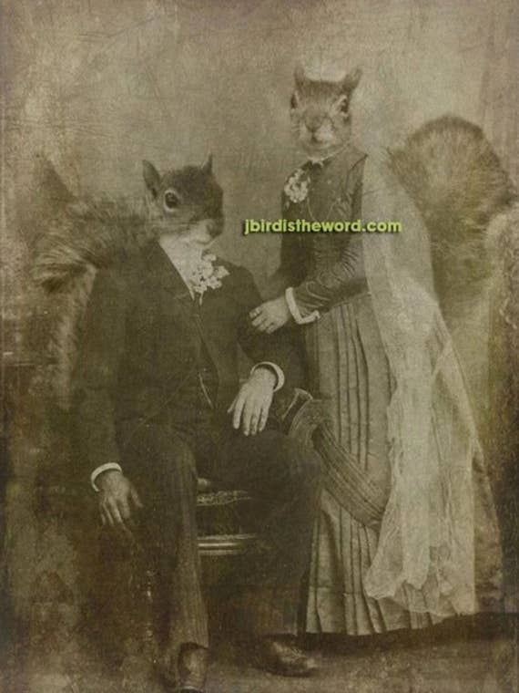 Squirrel Print, Newly Wed, Wedding Shower, Fun Funny for wholesale by The Wild Oddisorium