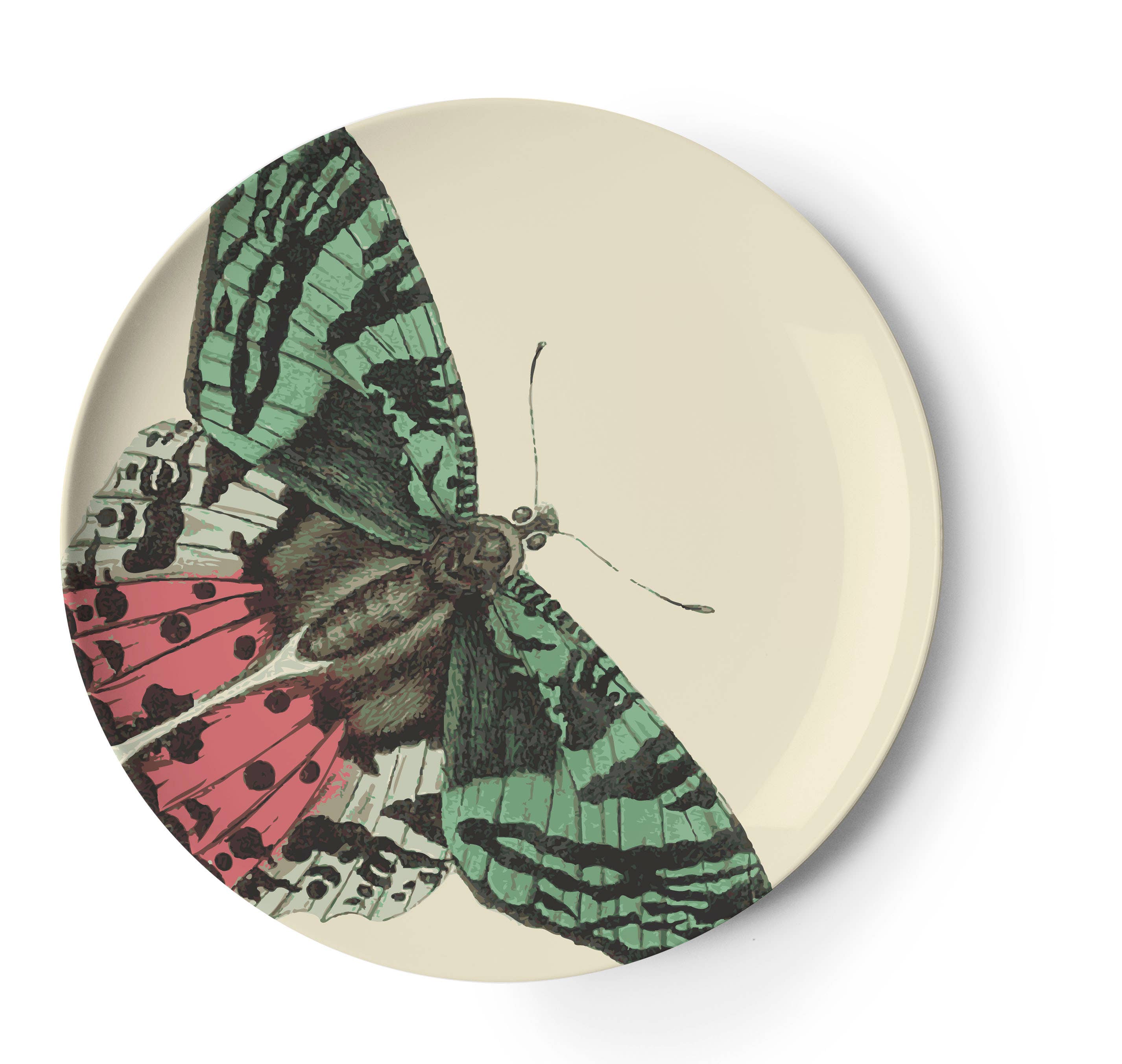 THOMASPAUL - Wholesale Dinner Plate - Metamorphosis Side Plates Set of 45