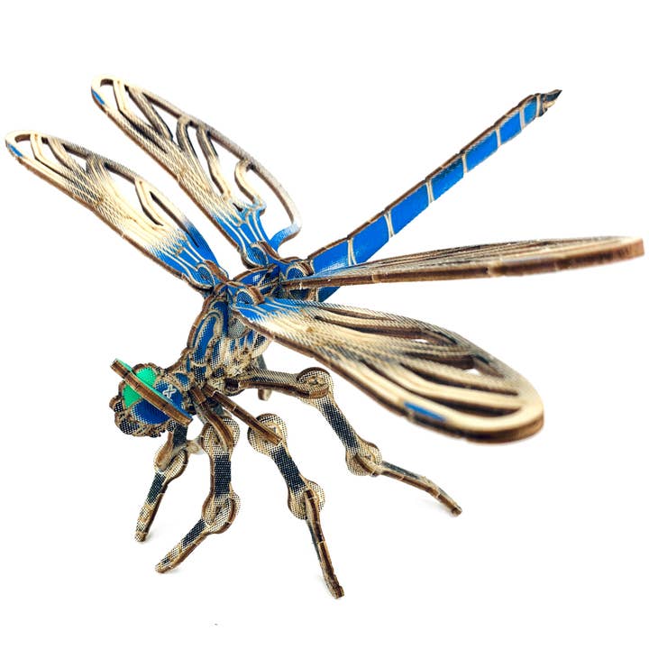 JCR WORK - Wholesale DIY Craft Kit - ARTHROPODA : DRAGONFLY3