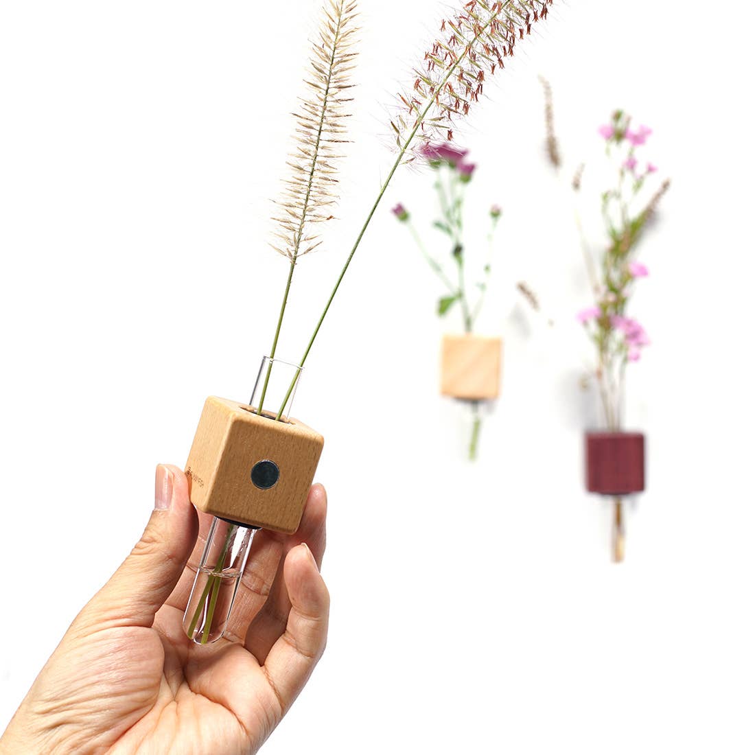 FUNNYFISH - Wholesale Vaas - Smart Magnet Vaas - Kubussen (Gemengd, set van 3)5