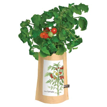 Potting Shed Creations, Ltd. - Wholesale Plant Seeds - Garden in a Bag | Tomato | Great gift for cooks2