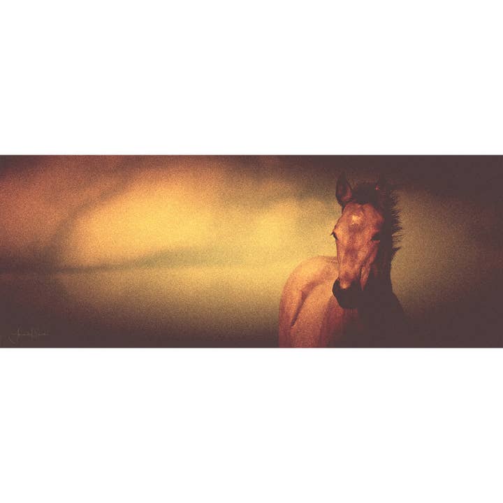 20 x 60 Chinook Canvas Print for wholesale by Amanda Smith Western Art, LLC