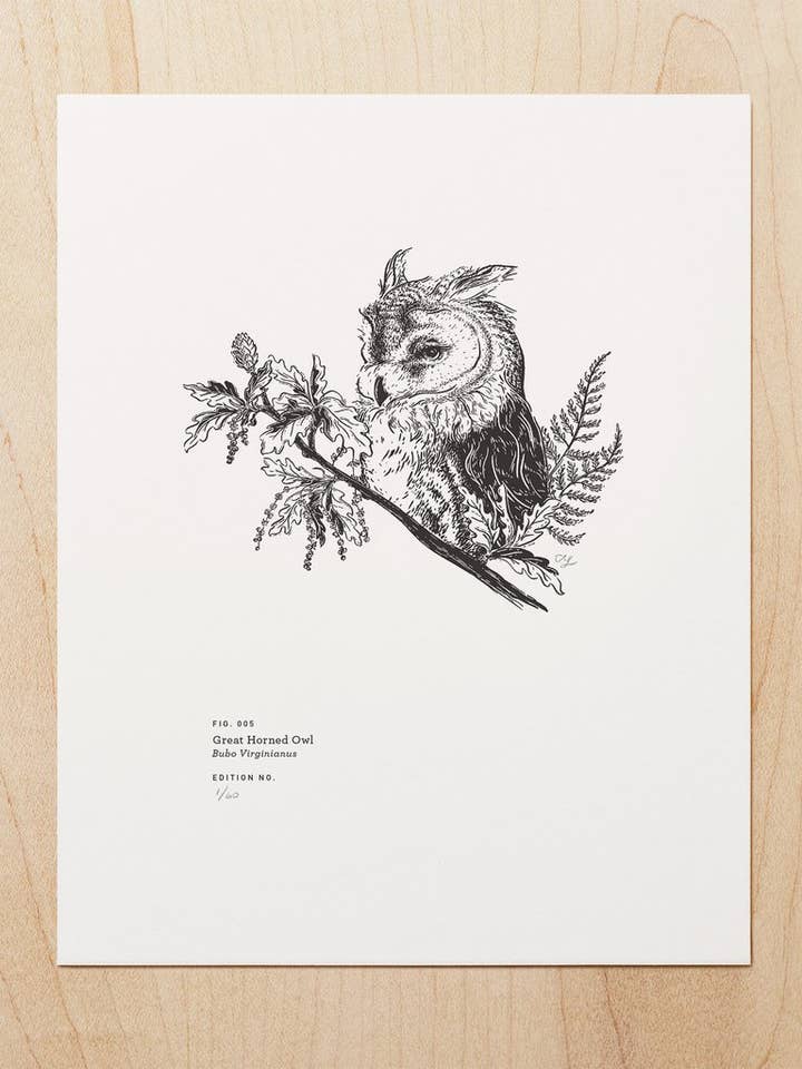 Great Horned Owl (Art print) for wholesale by Woodsy Foxman