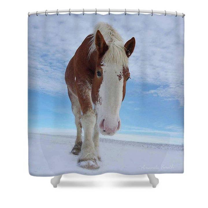 Big Josh - Cortina de ducha para venta al por mayor de Amanda Smith Western Art, LLC