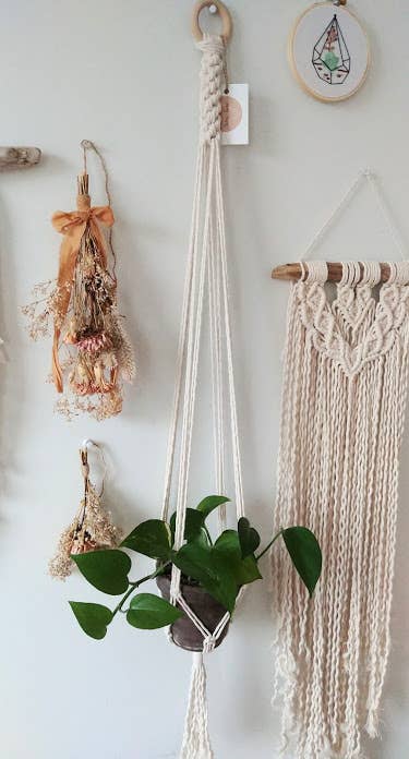 Buy Wholesale Plant With Free Returns On Faire Com