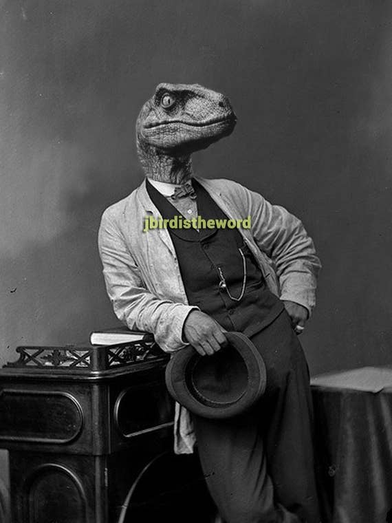 Raptor Print, Velociraptor Dinosaur, Jurassic Art for wholesale by The Wild Oddisorium