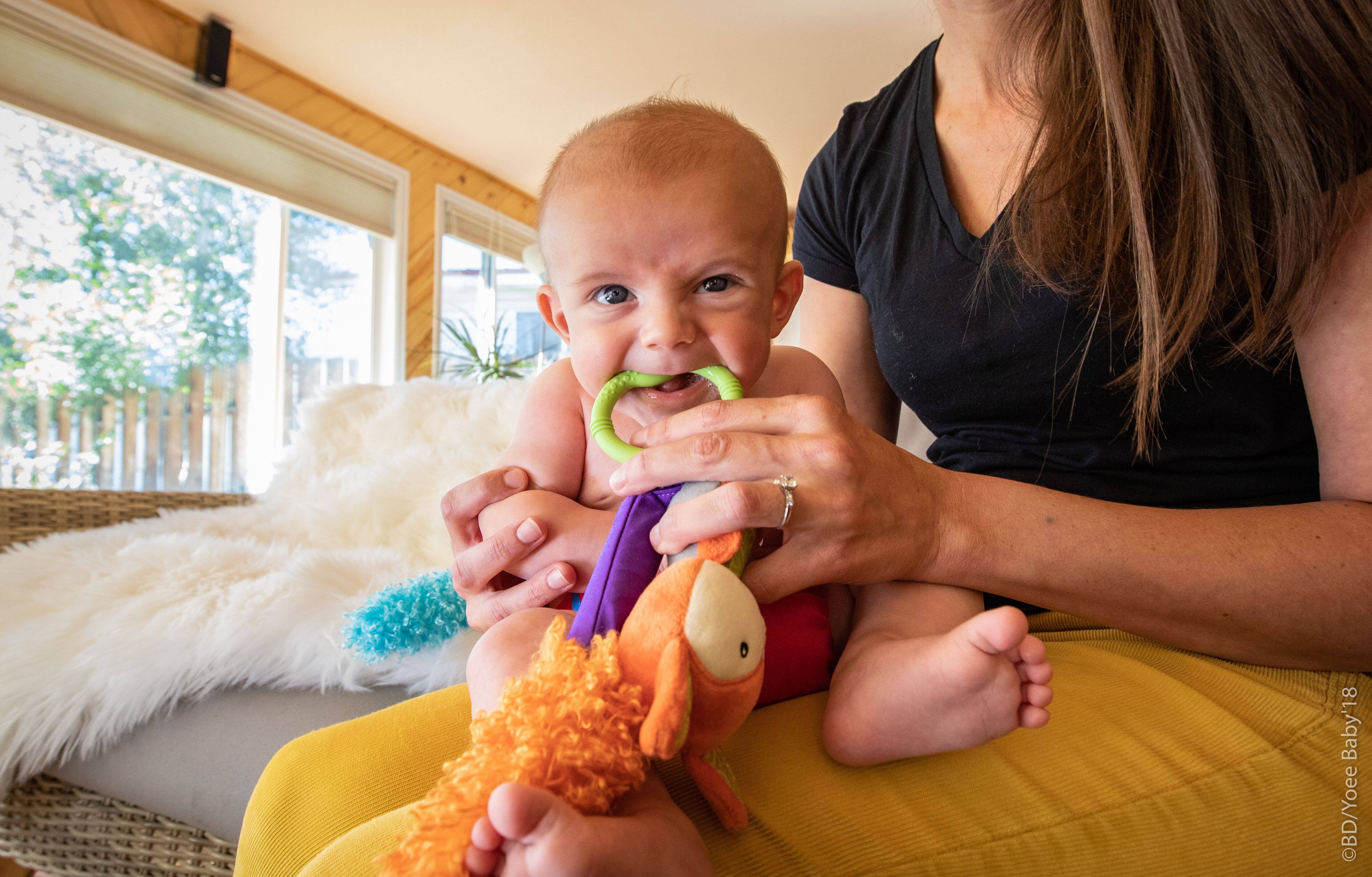 Yoee Baby - Wholesale Stuffed/Plush Toy - Kids & Baby - Fox Play Together Toy6