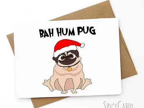 Spicy Cards - Wholesale Christmas Card - Funny Christmas card - Bah Hum Pug0