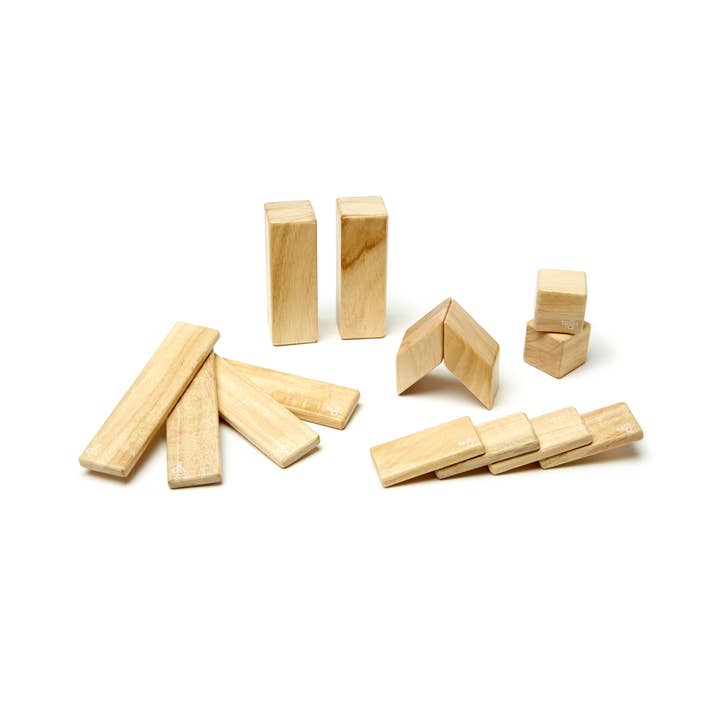 Tegu - Wholesale Building Set - Kids - 14 Piece Magnetic Wooden Block Set10