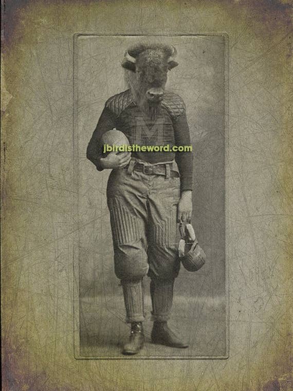 Marco Print, ballon de football Buffalo Bison pour la vente par The Wild Oddisorium