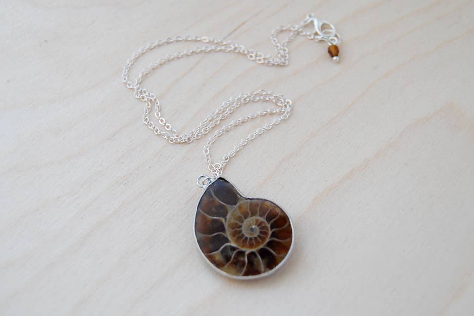 Enchanted Leaves - Wholesale Pendant/Charm Necklace - 18" Ammonite Fossil Shell Necklace4