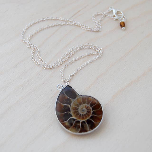 Enchanted Leaves - Wholesale Pendant/Charm Necklace - 18" Ammonite Fossil Shell Necklace4