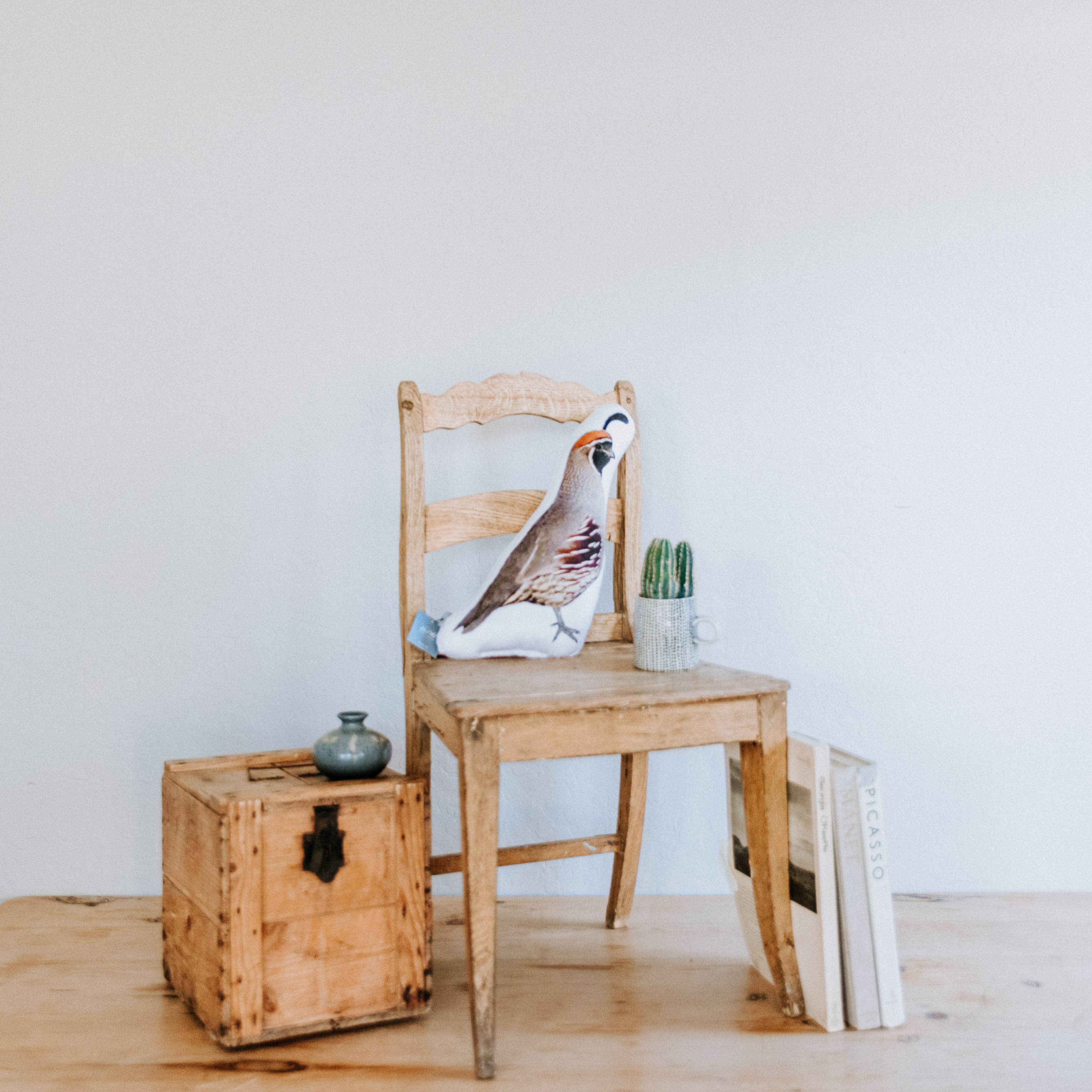 AURE - Wholesale Throw/Decorative Pillow - AZ Quail, Christmas Gift