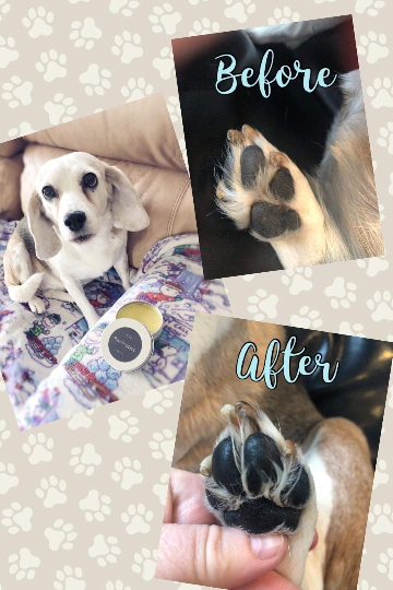 Hidden Vale Farm - Wholesale Pet Balm - Dog - Paw Balm for pets, made with all natural ingredients0