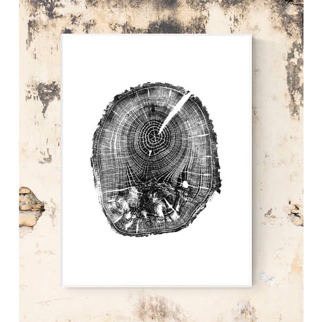 Rød eg (blok 11), 18 „x24" unframed for engroshandel hos Timber Wood Prints