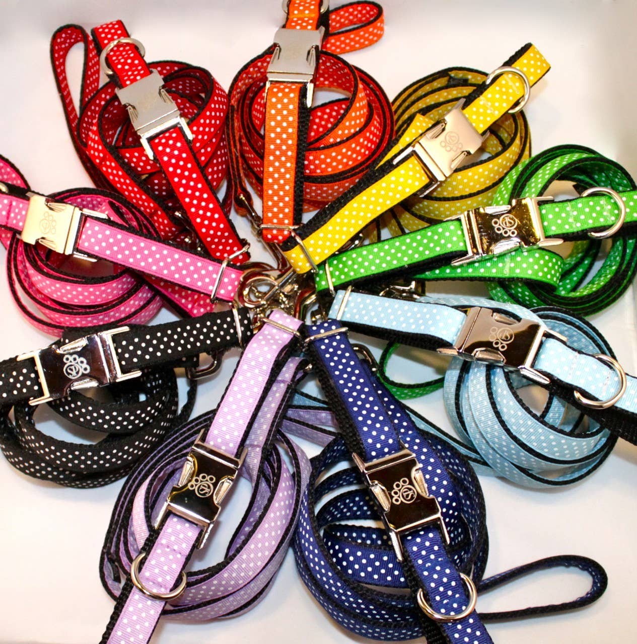 Sophisticated Pup – Großhandel Haustierhalsband – Hund – Regenbogen Dot Halsband und Leine Collection groß2