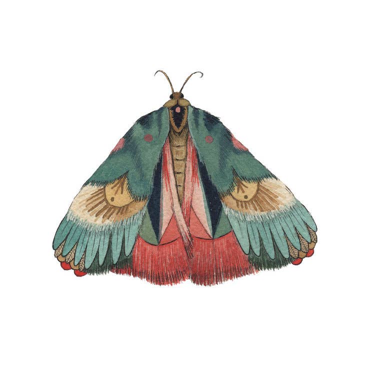 Polanshek of the Hills - Wholesale Art Print - Moth 7 Print - Collector