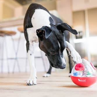 P.L.A.Y. Pet Lifestyle and You - Wholesale Pet Toy - Dog - Wobble Ball 2.0_Red4