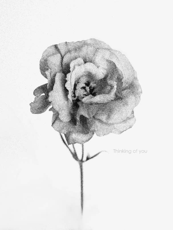 Black & white Flower Greeting Card for wholesale by Talfoto Studio