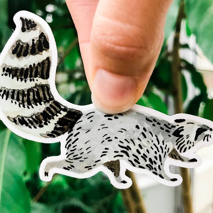 Wildship Studio - Vente Autocollant - Autocollant en vinyle Motif raton laveur animal2