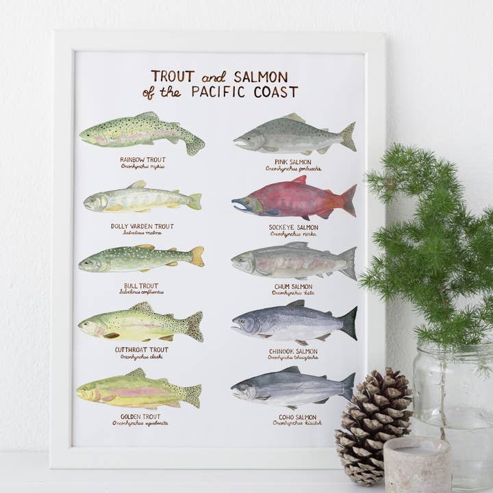 Yardia - Wholesale Art Print - Pacific Trout and Salmon - 11" x 14" West Coast Art Print1